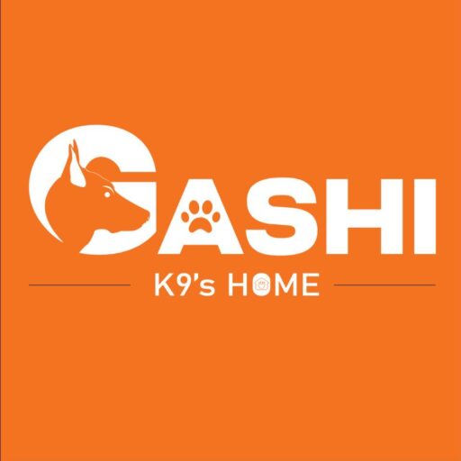 Gashi-k9